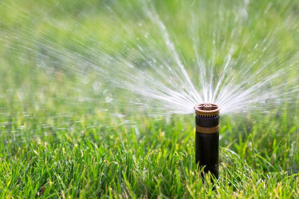 Irrigation Services in Westborough, MA