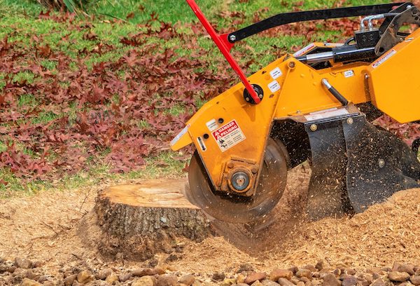 Stump Grinding in Bolton, MA